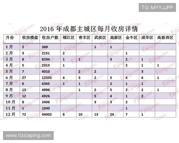 j9国际站官网数据分析与运营报告，帮助企业精准把握市场动态与用户需求